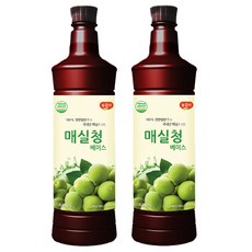 광야식품 매실청 베이스 970ml, 2개