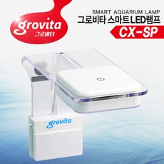 01949ad3f55d8236461fa9833741bbb6430794434117394b1912ea0db81a.jpg