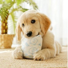 래핑찰리 토일렛 페이퍼 토이 강아지 노즈워크 300cm, 1개, 화이트