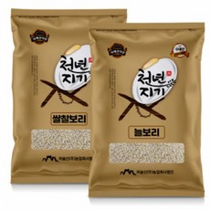 천년지기늘보리