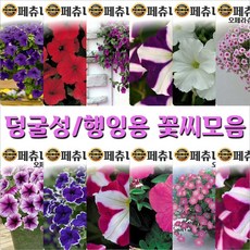 덩굴성 꽃씨모음, 9. 자이언트 여주 수퍼여주 10립, 1개