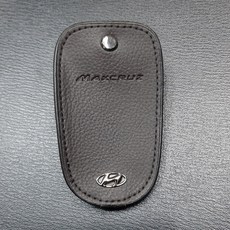 맥스크루즈천장모니터