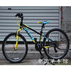 자이언트어린이자전거