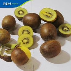 기타 국내산 순천 골드키위 5kg(못난이/대과), 상세페이지참조, 1개