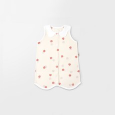 메르베플럼플럼