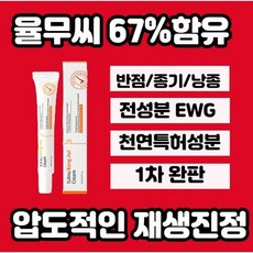 엉덩이종기