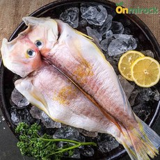 온미락 명품 제주 옥돔 5미 대 30cm이상 1.5kg 반건조 참옥돔 개별 진공포장, 제주 옥돔 1.5kg(대/30cm이상), 1개