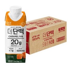 빙그레더단백초코바