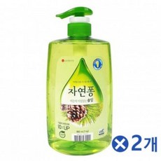 에코씽
