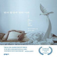 빛과물질에관한이론
