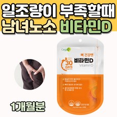 일조량기기