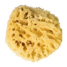 01c7bab19d1a06c11709895282f78b4ba5d96acb7768e033fb935ea7a333.jpg