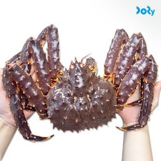 도리마켓 직수입 프리미엄 활 레드 킹크랩 수율 대박, 1개, 2.8~3kg