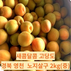 살구제철