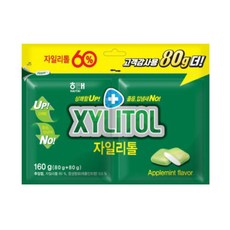 해태제과 자일리톨 애플민트 껌 리필 2팩, 160g, 6개