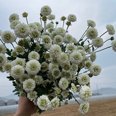 c61e6ce24257a70a117c7cdcefcbedee258768666f5c2dcb16ea3bba6ac5.jpg