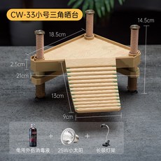 레이저백거북이