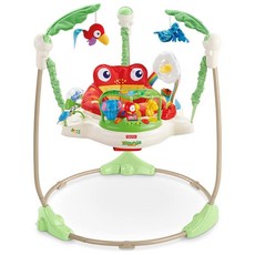 Fisher- Price Jumperoo : 12kg (CCT41) 피셔 프라이스 레인포레스트 점퍼루 적응 체중