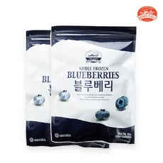 냉동 블루베리 칠레산 1kg X 2개