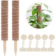 나무식물 10개 라벨이 부착된 Lemecima 2PCS 17인치 모스폴 토템폴 식물 지지 확장을 위한 쿠어르 모스스틱 클라이밍 실내, 단일옵션