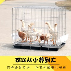 ce988c1723aa52072a9c4a5a634c4f62fc9e3fe547c265f493545fb5487d.jpg