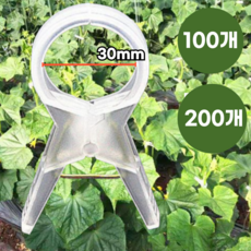 글로리존 고추 고정 집게 오이 호박 원예용 작물 클립, 30mm, 100개 30mm, 100개