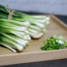 국내산 햇 쪽파 손질쪽파 1단, 1개, 1kg