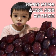 [1+1]금송진진포도 추석 선물세트 샤인머스켓 포도 송산 캠벨 블랙 머루 청포도 8 9월제철과일 종류 거봉 애플 운악산 가지 영동 김천 가격 씨없는 신품종 루비로망 마이하트, 1박스, [1+1]1kg