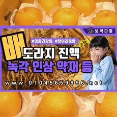 경동건강원 배도라지액기스 녹각 인삼 엑기스 진액 즙 소포장 10포 1일1포 10일 복용