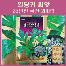 미래종묘 웰빙일당귀 씨앗 200립- 약용식물 산나물 민속채소, 1개