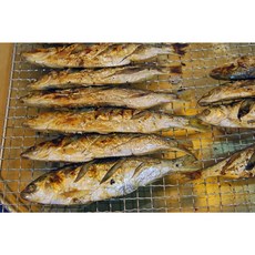 국내산 구이용 전어 500g 제철 회 필렛 자연산 손질 가을전어 통영 거제 삼천포 제철, 1kg