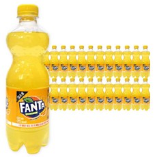 환타 파인애플 업소용 500ml 24개