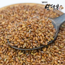 힘찬농부오달봉 국산 홍미 적미 붉은쌀, 1개, 10kg(5kg+5kg)