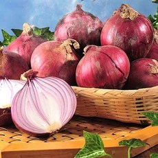 햇 자색양파 중대 3kg 5kg 10kg, 상세페이지 참조