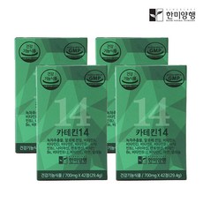 [한미양행] () 카테킨14 녹차추출물 다이어트(700mg x 42정 x 4박스), 상세 설명 참조, 4박스