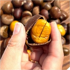 [프리미엄] 칼집 약단밤 생밤 단밤 간식 chestnut, 1kg, 1개