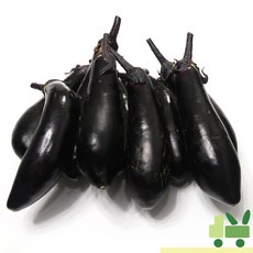 사라상회 가지 1Kg (상), 1박스