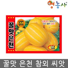 용암참사랑성주참외