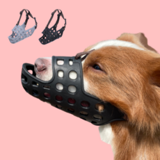 보더콜리입마개