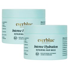 에버블루 인텐스 하이드레이션 리페어링 헤어 마스크 285gx2개 Everblue Intense Hydration Repairing Mask