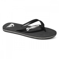 퀵실버키즈쪼리