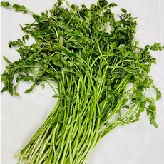 돌미나리2kg