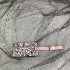 디올새들벨트백