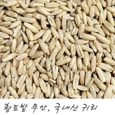 한땀영농조합법인 황토밭 무안 국내산 귀리 1kg, 1개