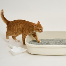 생활공작소벤토나이트고양이모래6kg