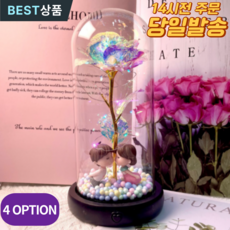 데이엑스 홀로그램 장미 무드등 LED 수유등 유리돔 꽃 아이뽀뽀 상품 이미지