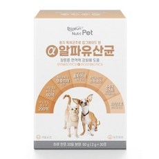[정품발송] 알파유산균 1개월분 강아지 고양이 200억 유산균 면역 구강 피부 장건강 반려견 영양제 바른뉴트리펫 442288, 1개