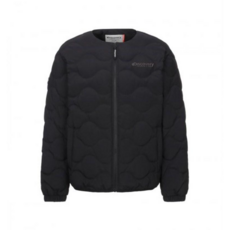 디스커버리픽토르s