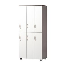 알펜 6인 락커(2단3열)(사무용 캐비넷 개인 옷장), W900 X D550 X H1900:워시