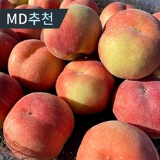 당도선별 명품 복숭아 납작 대극천 털복숭아 마트납품용, 대극천 납작복숭아 1kg(11-14과), 1개